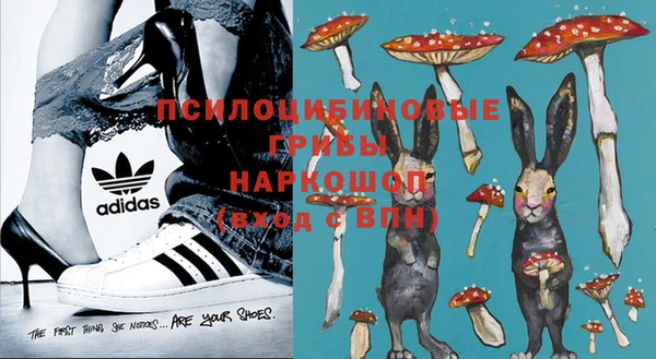 трава Дмитриев