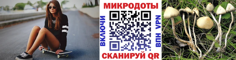 Псилоцибиновые грибы ЛСД  Камышин 
